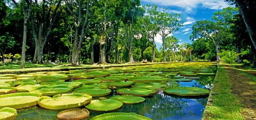 Tourist Attraction of Mauritius Mauritius