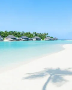 cheval-blanc-randheli