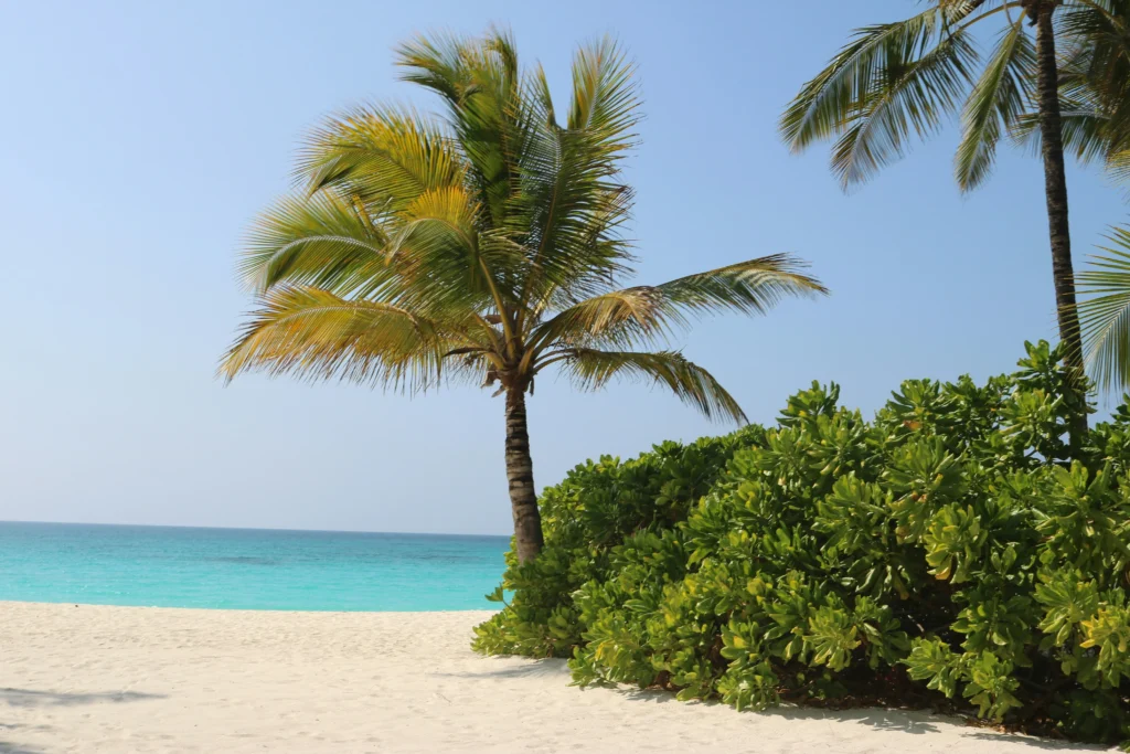 Zanzibar zanzibar