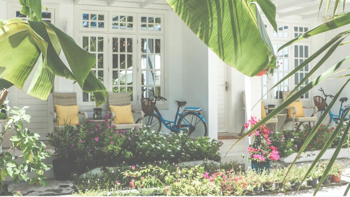 local-island-guesthouse-stays