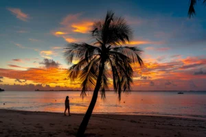 sunset-view