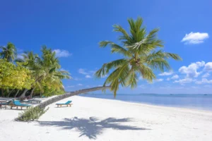 island-beach